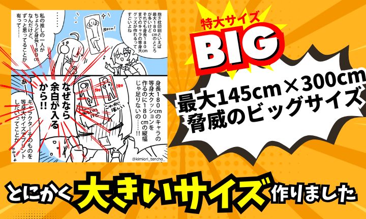 ついに出てしまいました【大大大大抱き枕】