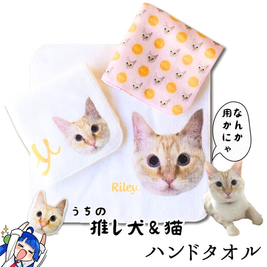 うちの推しの子 犬 猫 写真入り 今治綿 ハンドタオル3枚セット