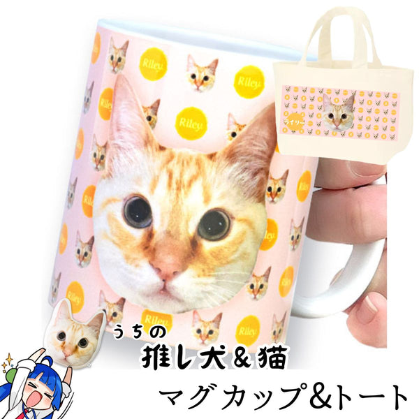Amazon.co.jp: 猫 マグカップ みたらしちゃん（考えとくね）瀬戸